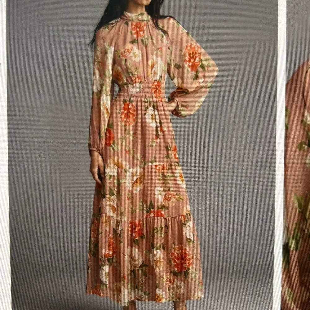Anthropologie Somerset Long-Sleeve Mock-Neck Chiffon Maxi Dress - Picture 3 of 6
